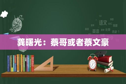 龚曙光：蔡哥或者蔡文豪