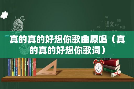 真的真的好想你歌曲原唱（真的真的好想你歌词）