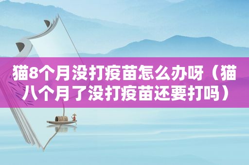 猫8个月没打疫苗怎么办呀（猫八个月了没打疫苗还要打吗）