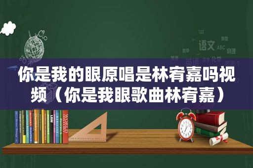 你是我的眼原唱是林宥嘉吗视频（你是我眼歌曲林宥嘉）