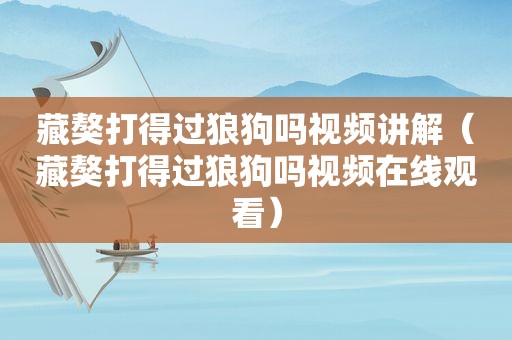 藏獒打得过狼狗吗视频讲解（藏獒打得过狼狗吗视频在线观看）