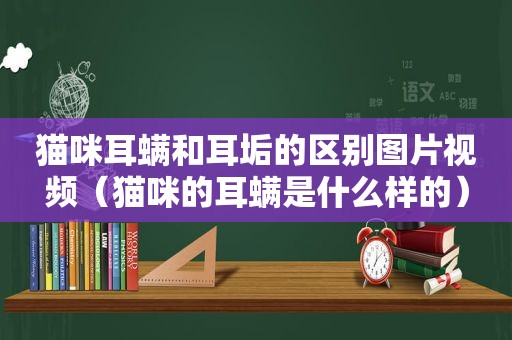 猫咪耳螨和耳垢的区别图片视频（猫咪的耳螨是什么样的）