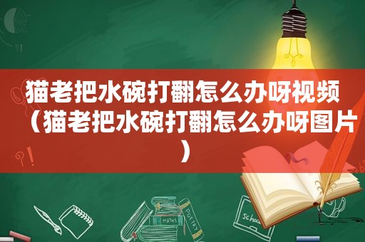 猫老把水碗打翻怎么办呀视频（猫老把水碗打翻怎么办呀图片）