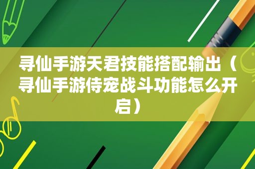 寻仙手游天君技能搭配输出（寻仙手游侍宠战斗功能怎么开启）