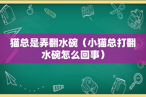 猫总是弄翻水碗（小猫总打翻水碗怎么回事）