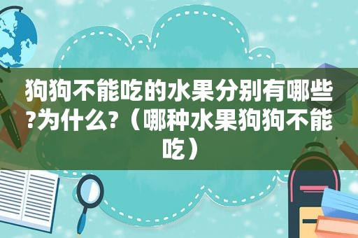 狗狗不能吃的水果分别有哪些?为什么?（哪种水果狗狗不能吃）