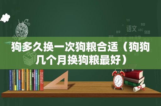 狗多久换一次狗粮合适（狗狗几个月换狗粮最好）