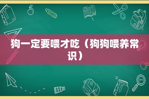 狗一定要喂才吃（狗狗喂养常识）