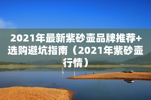 2021年最新紫砂壶品牌推荐+选购避坑指南（2021年紫砂壶行情）