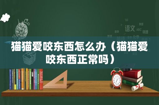 猫猫爱咬东西怎么办（猫猫爱咬东西正常吗）