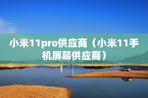 小米11pro供应商（小米11手机屏幕供应商）