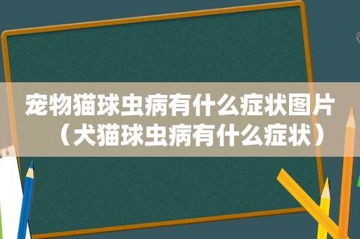 宠物猫球虫病有什么症状图片（犬猫球虫病有什么症状）