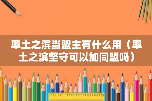 率土之滨当盟主有什么用（率土之滨坚守可以加同盟吗）