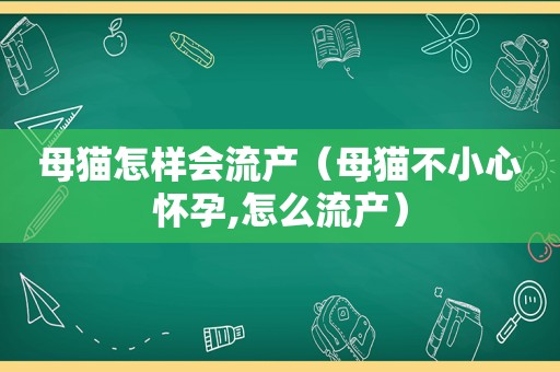 母猫怎样会流产（母猫不小心怀孕,怎么流产）