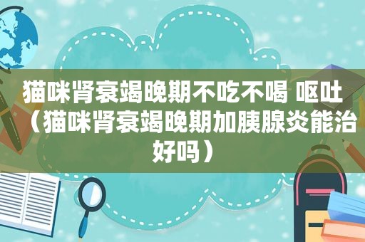 猫咪肾衰竭晚期不吃不喝 呕吐（猫咪肾衰竭晚期加胰腺炎能治好吗）