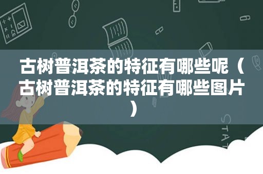 古树普洱茶的特征有哪些呢（古树普洱茶的特征有哪些图片）