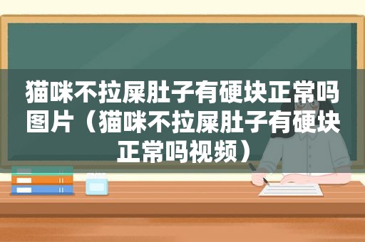 猫咪不拉屎肚子有硬块正常吗图片（猫咪不拉屎肚子有硬块正常吗视频）