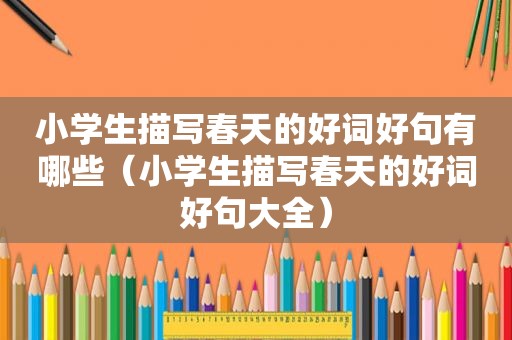 小学生描写春天的好词好句有哪些（小学生描写春天的好词好句大全）