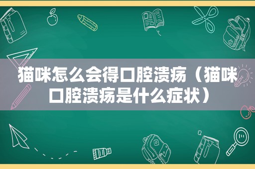 猫咪怎么会得口腔溃疡（猫咪口腔溃疡是什么症状）