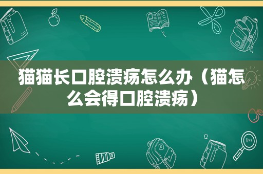 猫猫长口腔溃疡怎么办（猫怎么会得口腔溃疡）