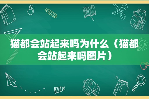 猫都会站起来吗为什么（猫都会站起来吗图片）