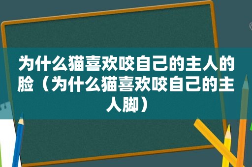 为什么猫喜欢咬自己的主人的脸（为什么猫喜欢咬自己的主人脚）