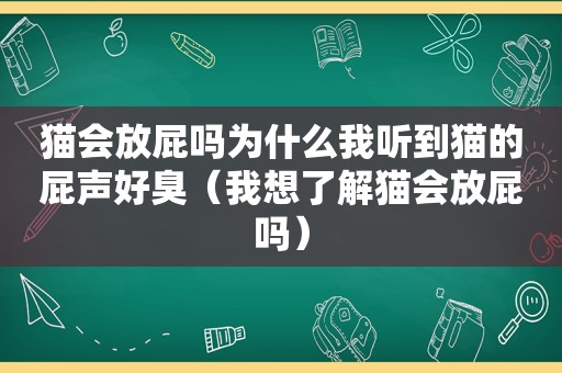 猫会放屁吗为什么我听到猫的屁声好臭（我想了解猫会放屁吗）