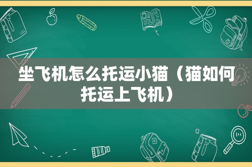 坐飞机怎么托运小猫（猫如何托运上飞机）