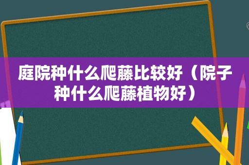 庭院种什么爬藤比较好（院子种什么爬藤植物好）