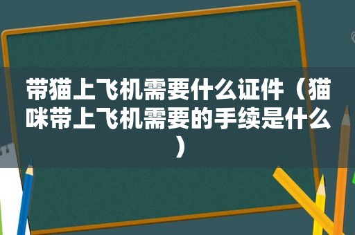 带猫上飞机需要什么证件（猫咪带上飞机需要的手续是什么）