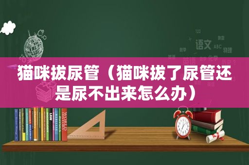 猫咪拔尿管（猫咪拔了尿管还是尿不出来怎么办）