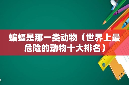 蝙蝠是那一类动物（世界上最危险的动物十大排名）