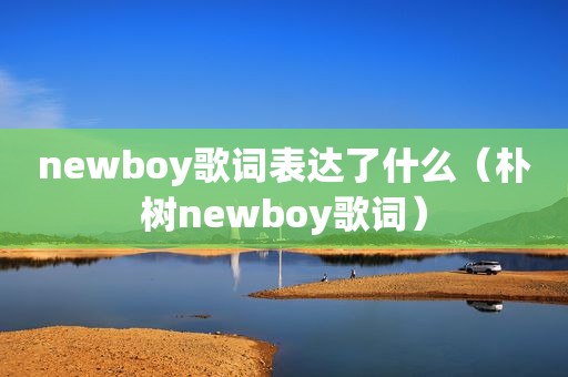 newboy歌词表达了什么（朴树newboy歌词）