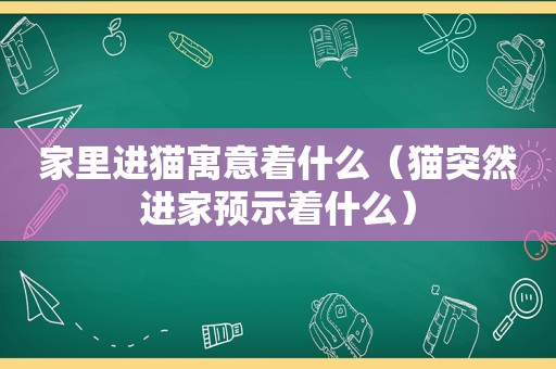 家里进猫寓意着什么（猫突然进家预示着什么）