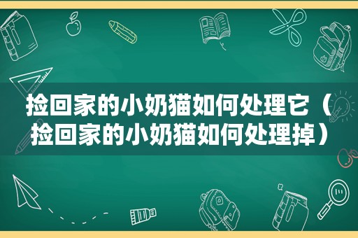 捡回家的小奶猫如何处理它（捡回家的小奶猫如何处理掉）