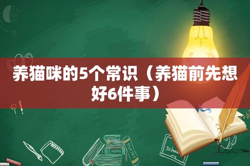 养猫咪的5个常识（养猫前先想好6件事）