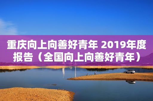 重庆向上向善好青年 2019年度报告（全国向上向善好青年）