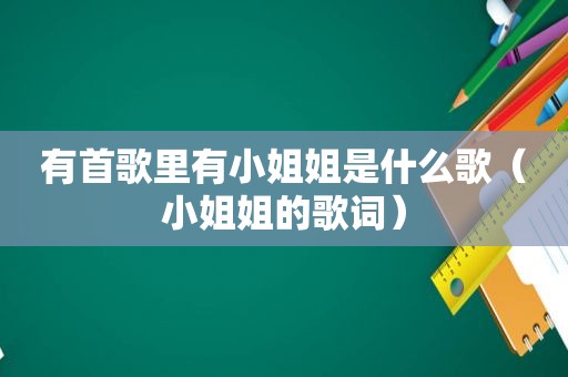 有首歌里有小姐姐是什么歌（小姐姐的歌词）