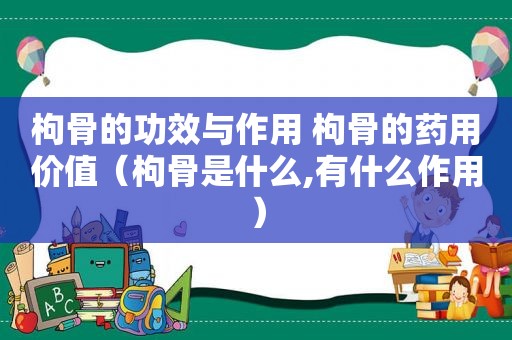 枸骨的功效与作用 枸骨的药用价值（枸骨是什么,有什么作用）