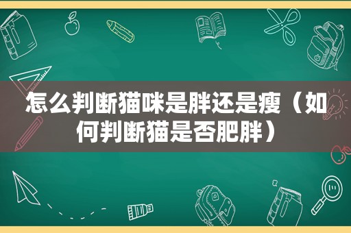 怎么判断猫咪是胖还是瘦（如何判断猫是否肥胖）