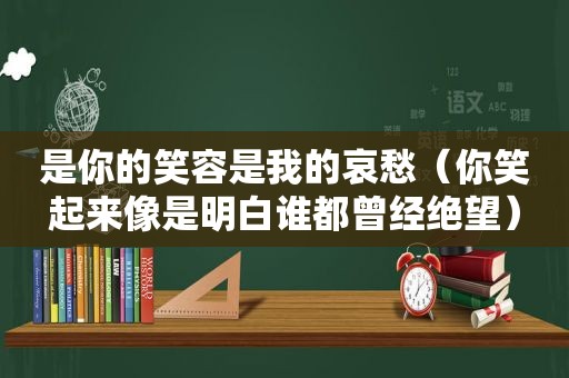 是你的笑容是我的哀愁（你笑起来像是明白谁都曾经绝望）