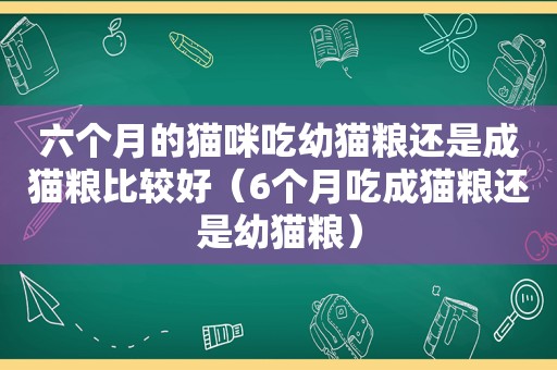 六个月的猫咪吃幼猫粮还是成猫粮比较好（6个月吃成猫粮还是幼猫粮）