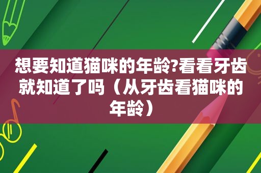 想要知道猫咪的年龄?看看牙齿就知道了吗（从牙齿看猫咪的年龄）