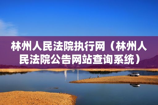 林州人民法院执行网（林州人民法院公告网站查询系统）