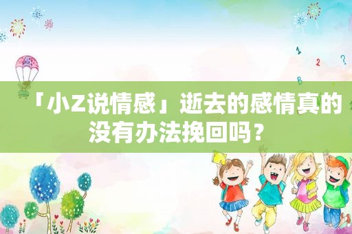 「小Z说情感」逝去的感情真的没有办法挽回吗？