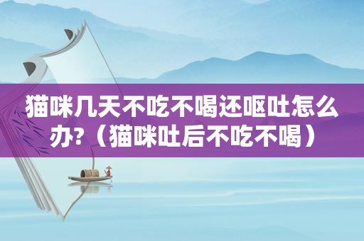 猫咪几天不吃不喝还呕吐怎么办?（猫咪吐后不吃不喝）