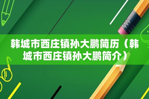 韩城市西庄镇孙大鹏简历（韩城市西庄镇孙大鹏简介）