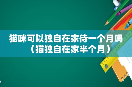 猫咪可以独自在家待一个月吗（猫独自在家半个月）