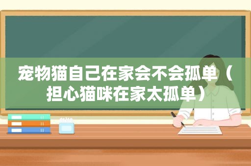 宠物猫自己在家会不会孤单（担心猫咪在家太孤单）