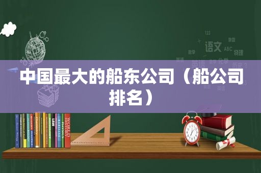 中国最大的船东公司（船公司排名）